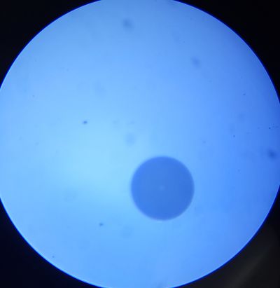 TC-26 FIBER MICROSCOPE 400x