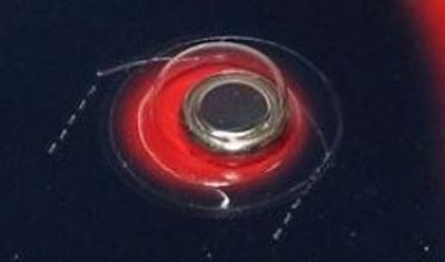 SWATCH BATTERY 1,55V: 390,389,189,LR54,V10GA,SR54,RW8,LR1130