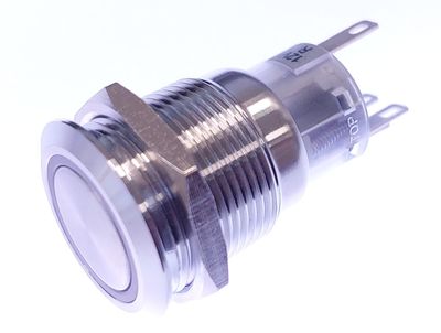 SWITCH WITH GREEN LED INDICATOR 12V (ON)-OFF