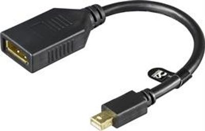 DisplayPort Female / miniDisplayPort Male