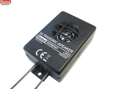 Ultrasonic wall loudspeaker